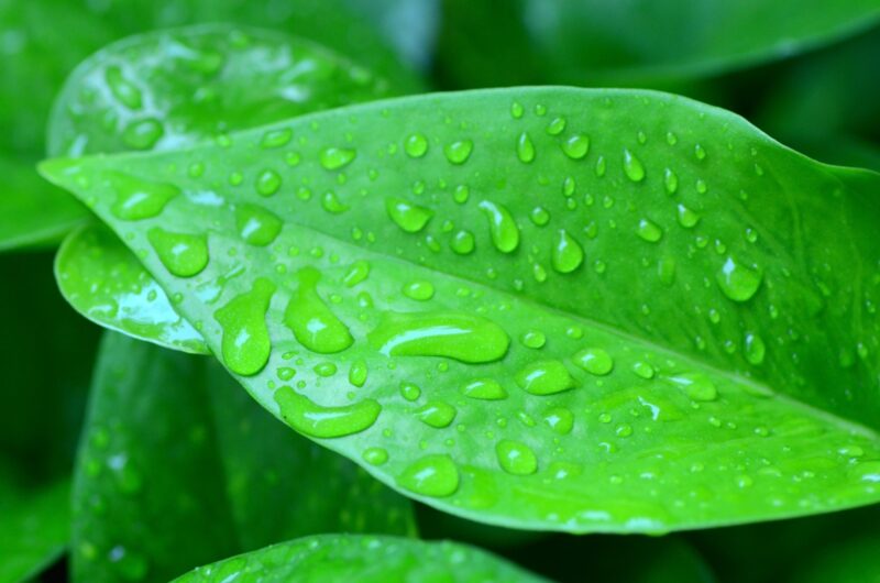 AOW en re-integratie